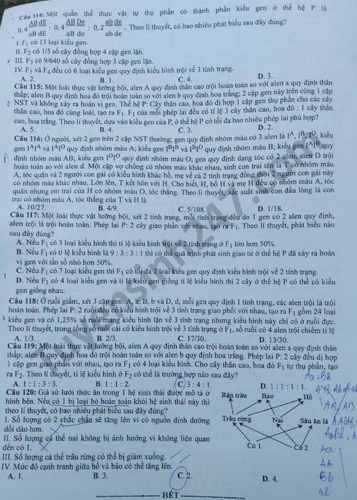 Dap an mon Sinh - Ma de 209 thi tot nghiep THPT 2021