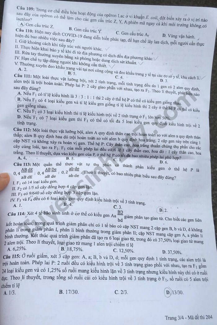 Dap an de thi tot nghiep THPT 2021 ma de 204 mon Sinh