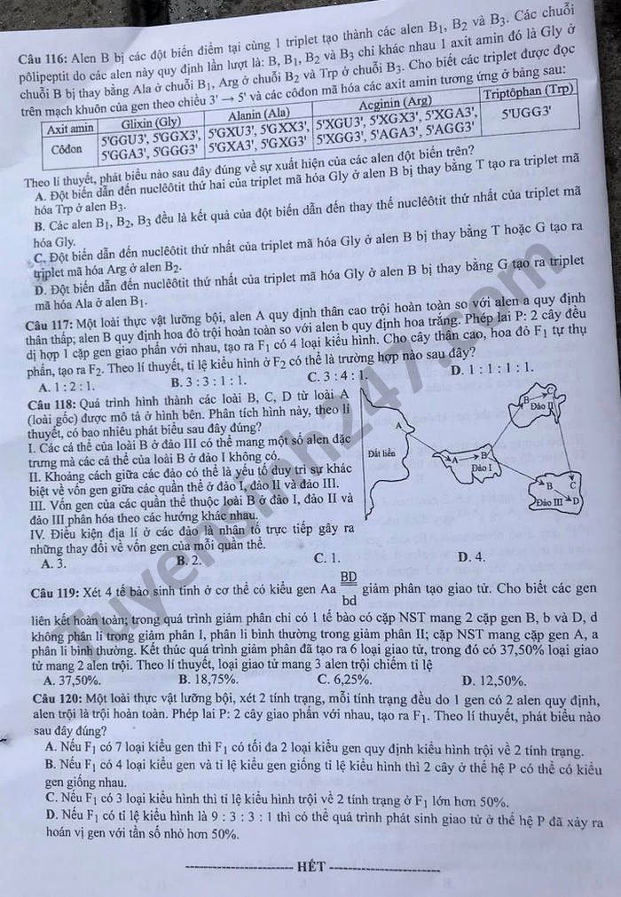 Dap an mon Sinh ma de 205 thi tot nghiep THPT 2021