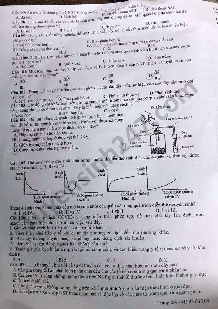 Dap an de thi tot nghiep THPT 2021 - mon Sinh ma de 206