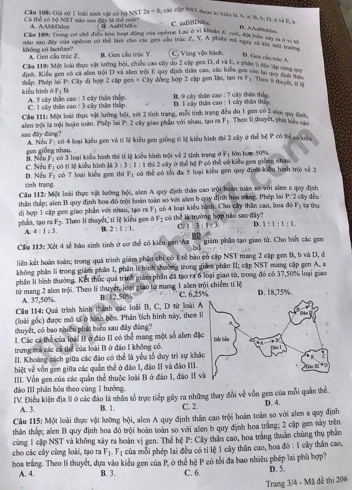 Dap an de thi tot nghiep THPT 2021 - mon Sinh ma de 206