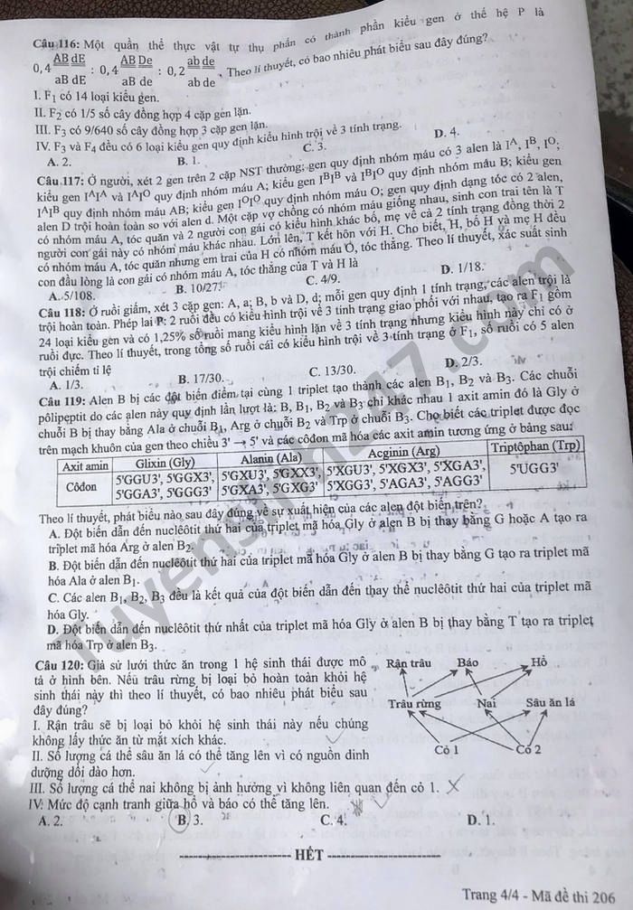 Dap an de thi tot nghiep THPT 2021 - mon Sinh ma de 206