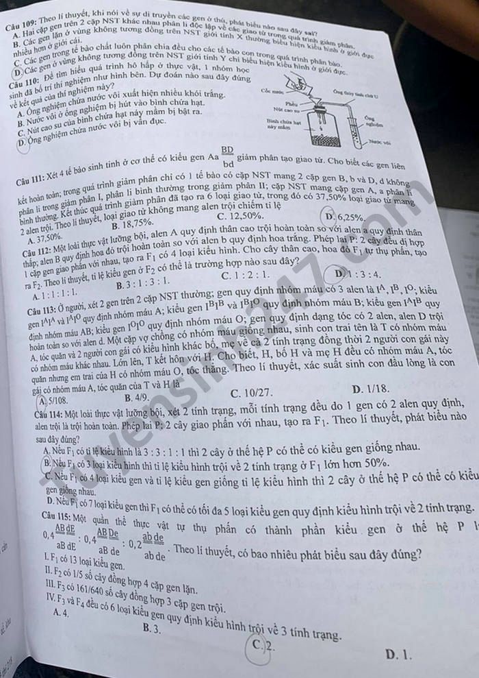 Dap an de thi tot nghiep THPT mon Sinh - Ma de 218 nam 2021