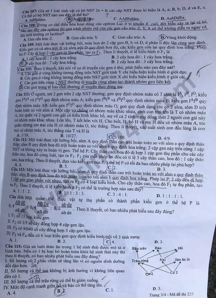 Dap an de thi mon Sinh - Ma de 223 tot nghiep THPT 2021