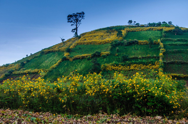 Tu vi 12 cung hoang dao thu Ba ngay 3/8/2021