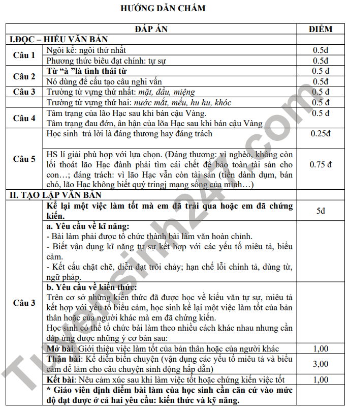 De thi giua ki 1 nam 2021 THCS Dinh Chau - lop 8 mon Van