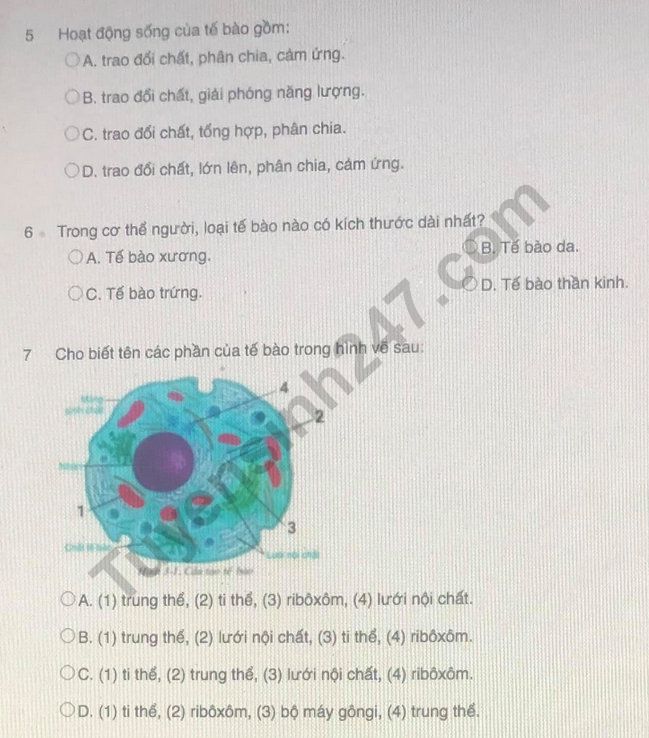 De kiem tra giua ki 1 mon Sinh lop 8 - Soc Son 2021