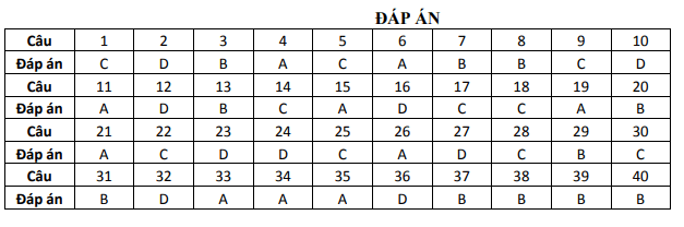 De thi giua ki 1 mon Anh lop 12 - THPT Nui Thanh 2021