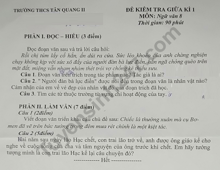 De thi giua ki 1 lop 8 mon Van - THCS Tan Quang II