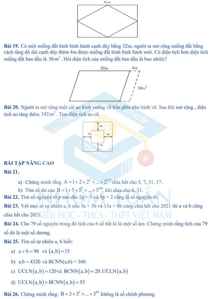 De cuong on tap hoc ki 1 lop 6 mon Toan 2021 - He thong Archimedes School