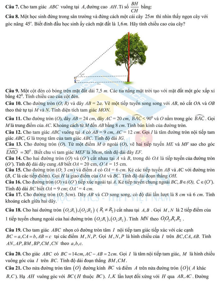 De cuong thi hoc ki 1 nam 2021 lop 9 mon Toan - THPT Chuyen Ha Noi-Amsterdam