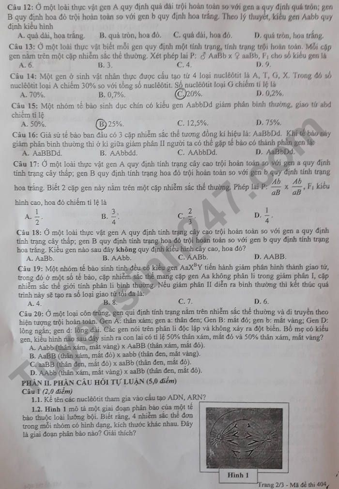 De thi ki 1 nam 2021 - 2022 tinh Bac Giang lop 9 mon Sinh