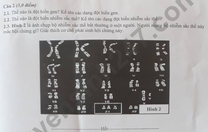 De thi ki 1 nam 2021 - 2022 tinh Bac Giang lop 9 mon Sinh