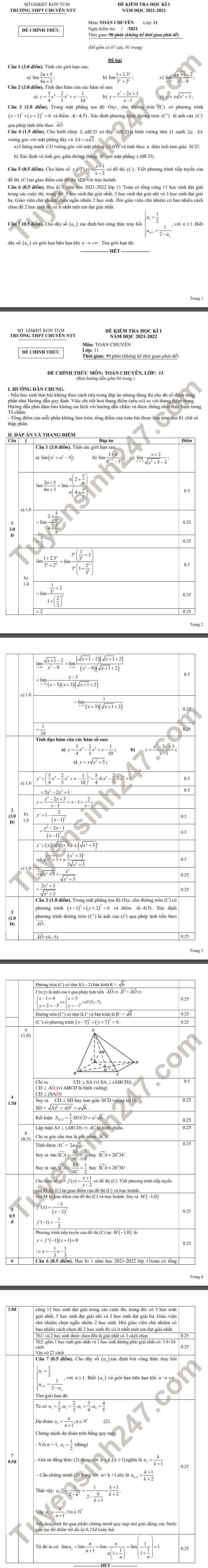 De thi ki 1 Toan (chuyen) lop 11 - Chuyen Nguyen Tat Thanh 2021
