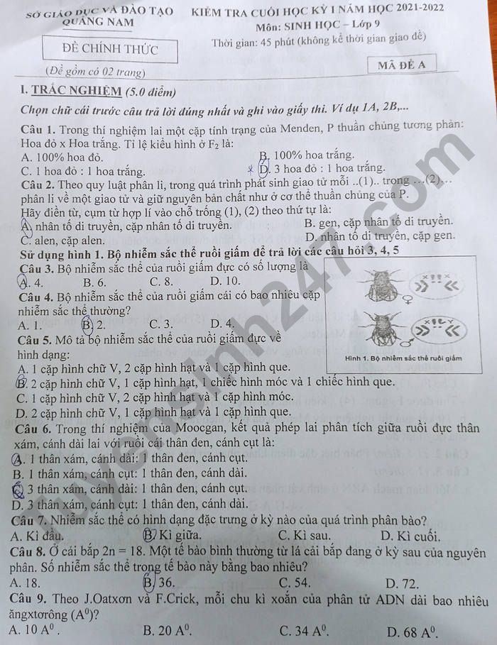De thi ki 1 nam 2021 - 2022 Sinh lop 9 tinh Quang Nam