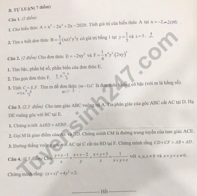 De giua ki 2 mon Toan lop 7 - THCS&THPT Nguyen Tat Thanh 2022