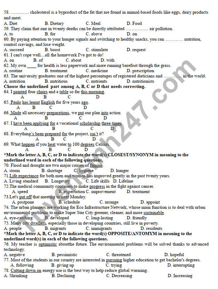 De cuong on tap hoc ki 2 2022 lop 11 mon Anh THPT Le Loi