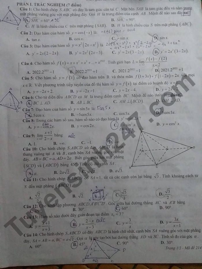 De thi ki 2 lop 11 mon Toan So GD Thai Binh 2022