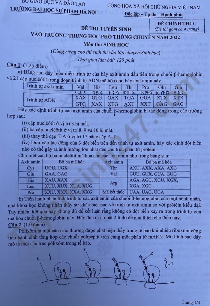 De thi vao lop 10 mon Sinh chuyen - THPT Chuyen Su pham HN 2022