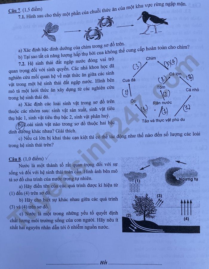 De thi vao lop 10 mon Sinh chuyen - THPT Chuyen Su pham HN 2022