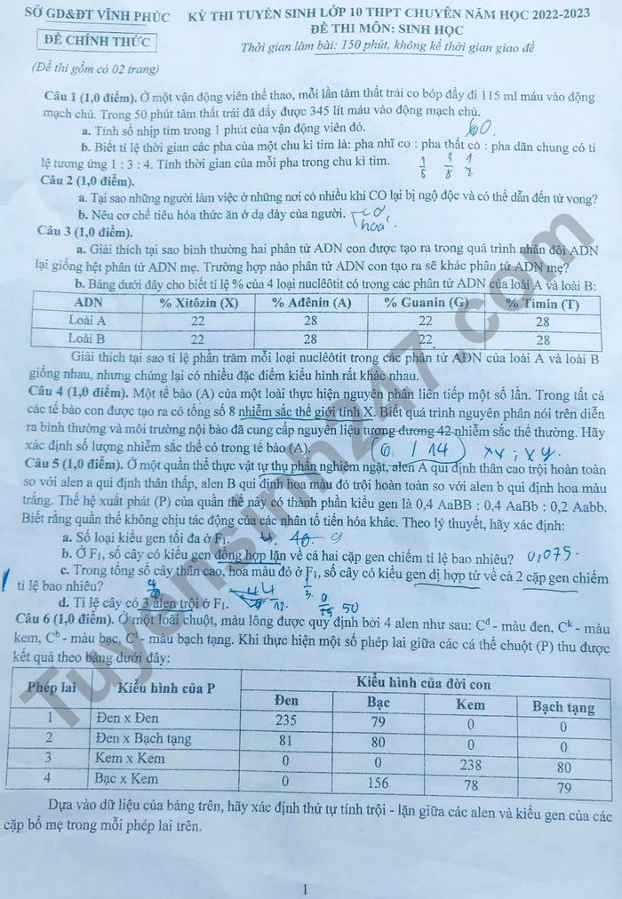 De thi vao lop 10 mon Sinh chuyen - Vinh Phuc 2022
