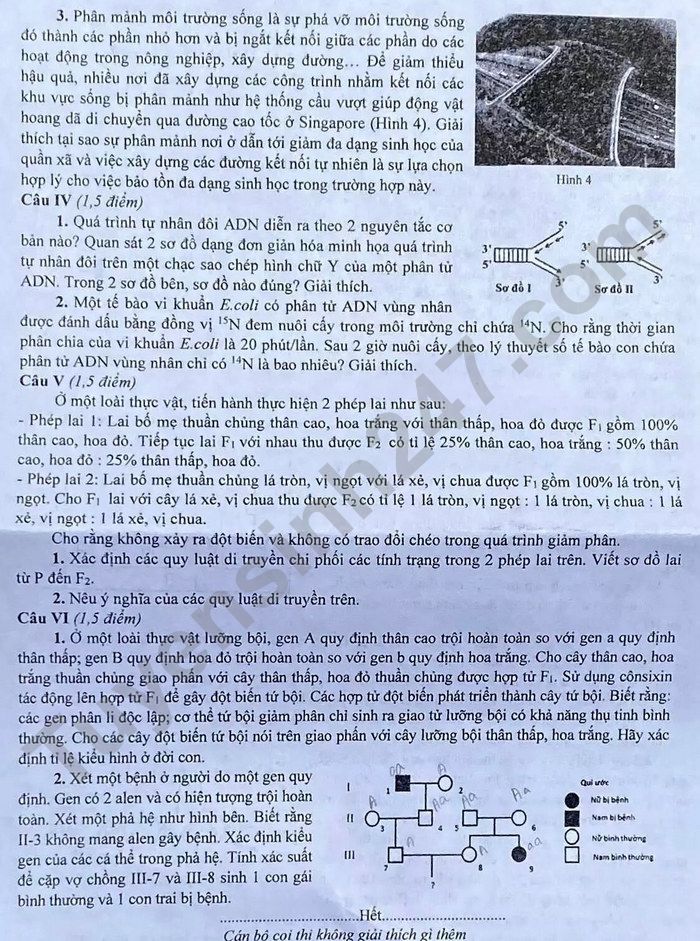 De thi vao lop 10 nam 2022 mon Sinh chuyen - Ha Noi