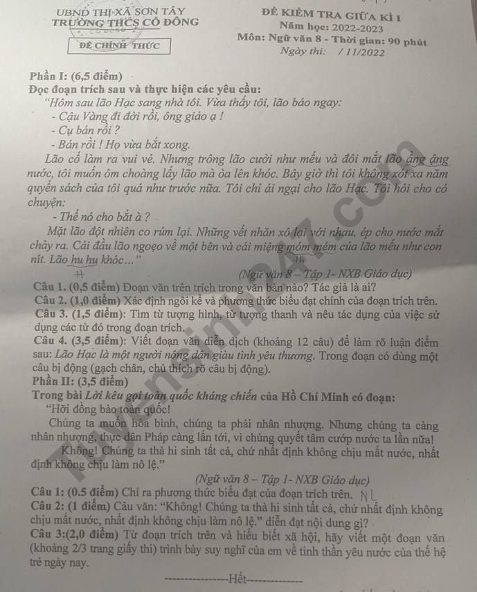 De kiem tra giua ki 1 lop 8 mon Ngu Van nam 2022 - THCS Co Dong