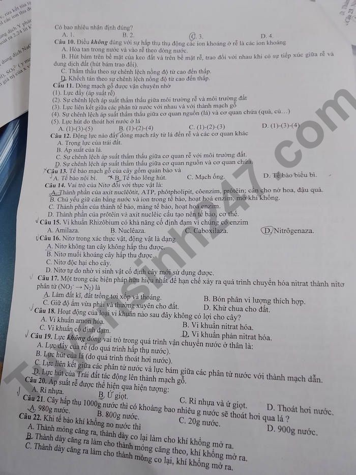 De thi GK 1 mon Sinh lop 11 - THPT So 1 TX Sapa 2022