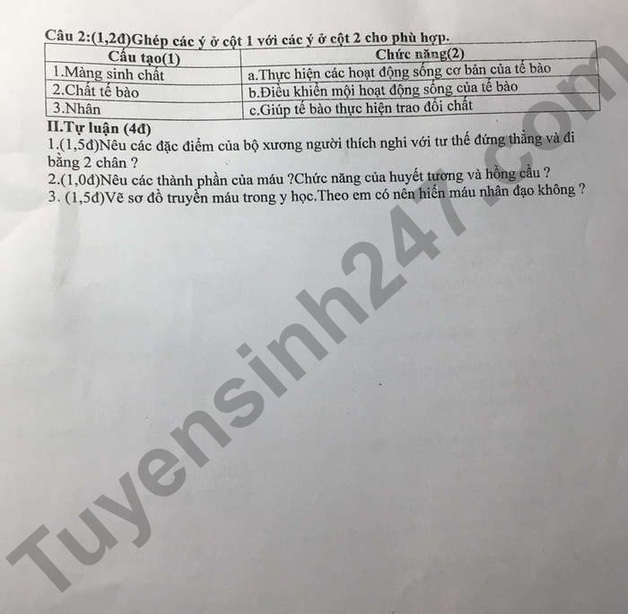 De thi GK 1 lop 8 mon Sinh nam 2022 - THCS Dung Tien