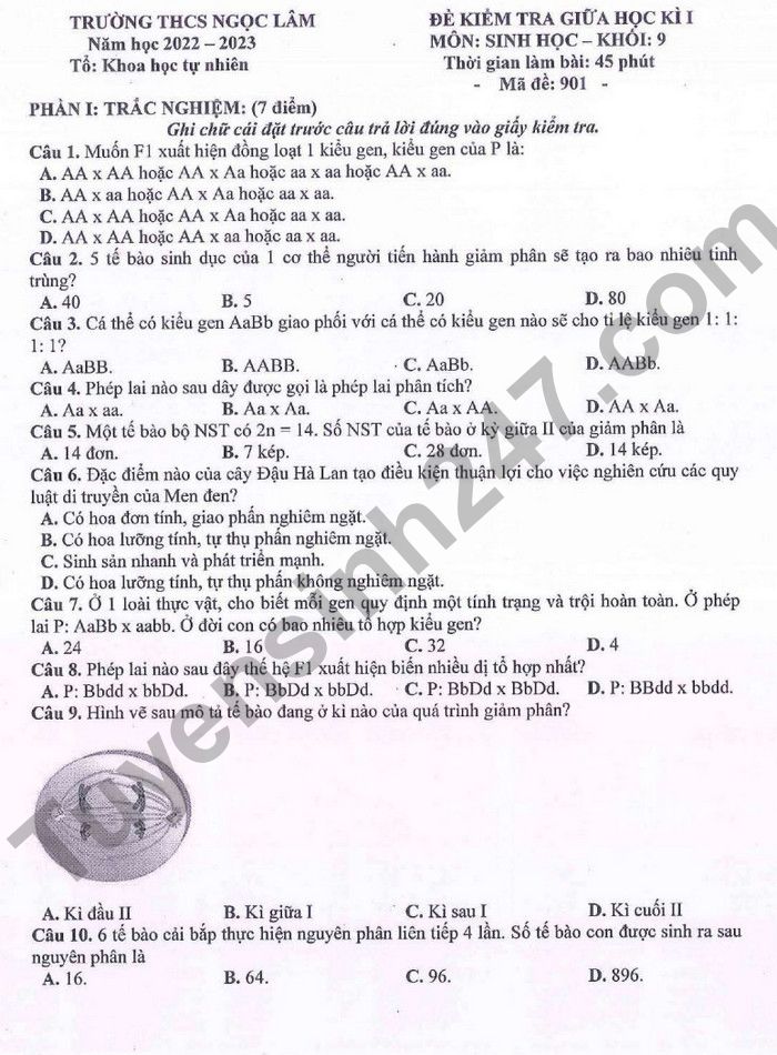 De thi giua ki 1 lop 9 mon Sinh 2022 THCS Ngoc Lam