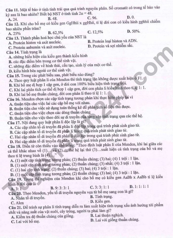 De thi giua ki 1 lop 9 mon Sinh 2022 THCS Ngoc Lam