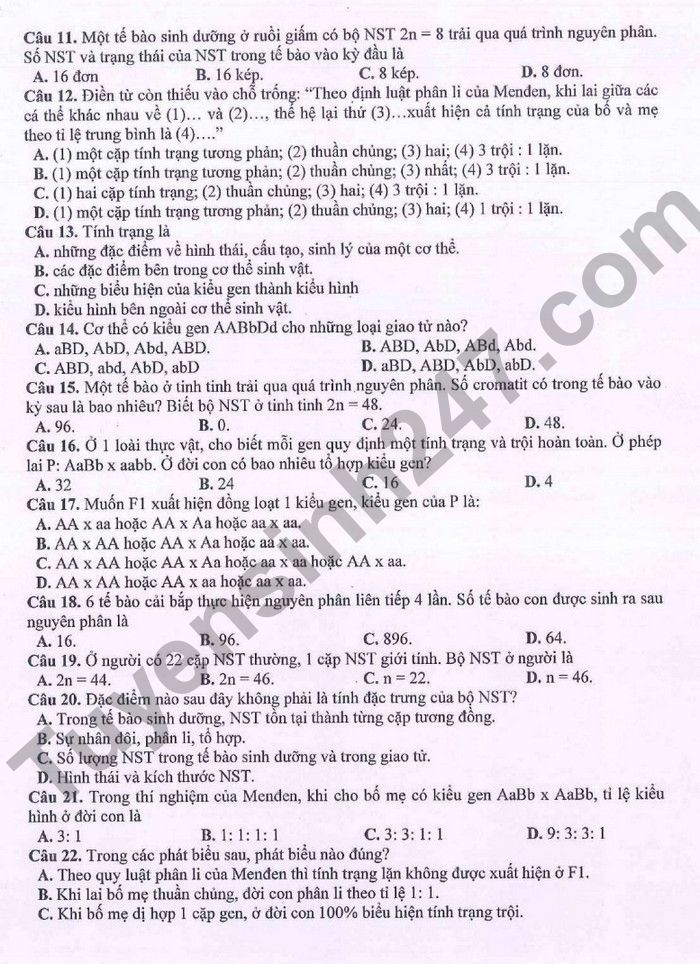 De thi giua ki 1 lop 9 mon Sinh 2022 THCS Ngoc Lam
