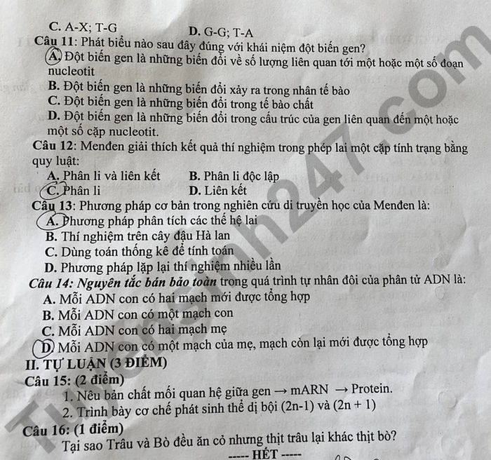 De thi HK 1 mon Sinh 2022 lop 9 Huyen Huu Lung