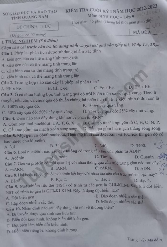 De thi ki 1 lop 9 mon Sinh nam 2022 - So GDDT Tinh Quang Nam