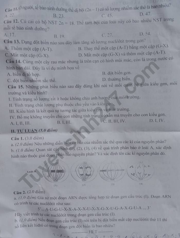 De thi ki 1 lop 9 mon Sinh nam 2022 - So GDDT Tinh Quang Nam