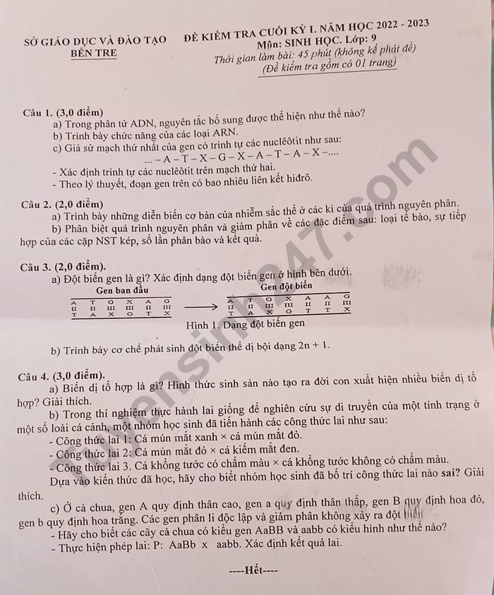 Dap an de thi hoc ki 1 lop 9 nam 2022 mon Sinh - So GDDT Ben Tre