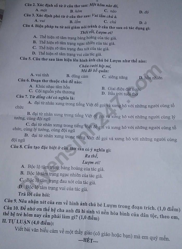 De thi ki 1 lop 7 mon Van - THCS Nguyen Luong Bang 2022