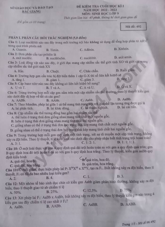 De thi cuoi ki 1 mon Sinh lop 9 - So GDDT Bac Giang nam 2022