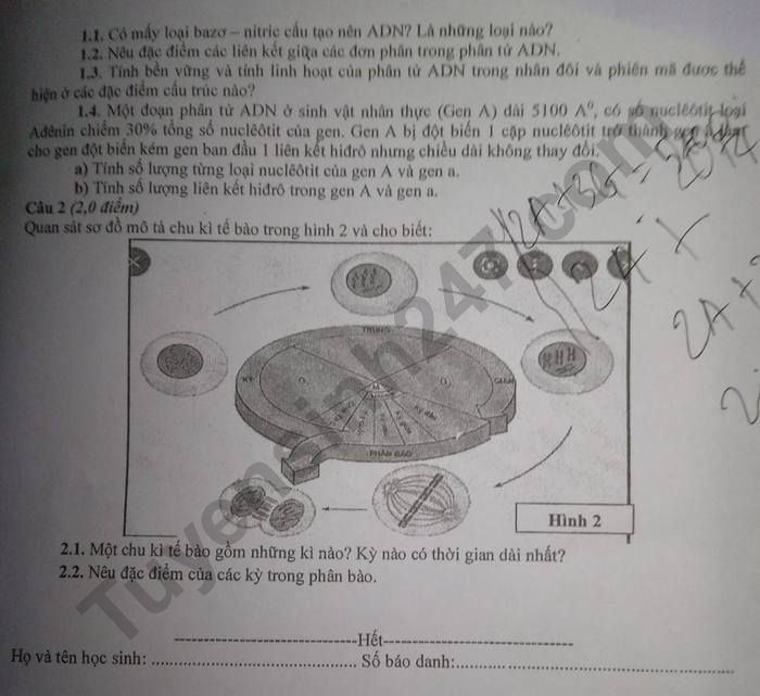 De thi cuoi ki 1 mon Sinh lop 9 - So GDDT Bac Giang nam 2022