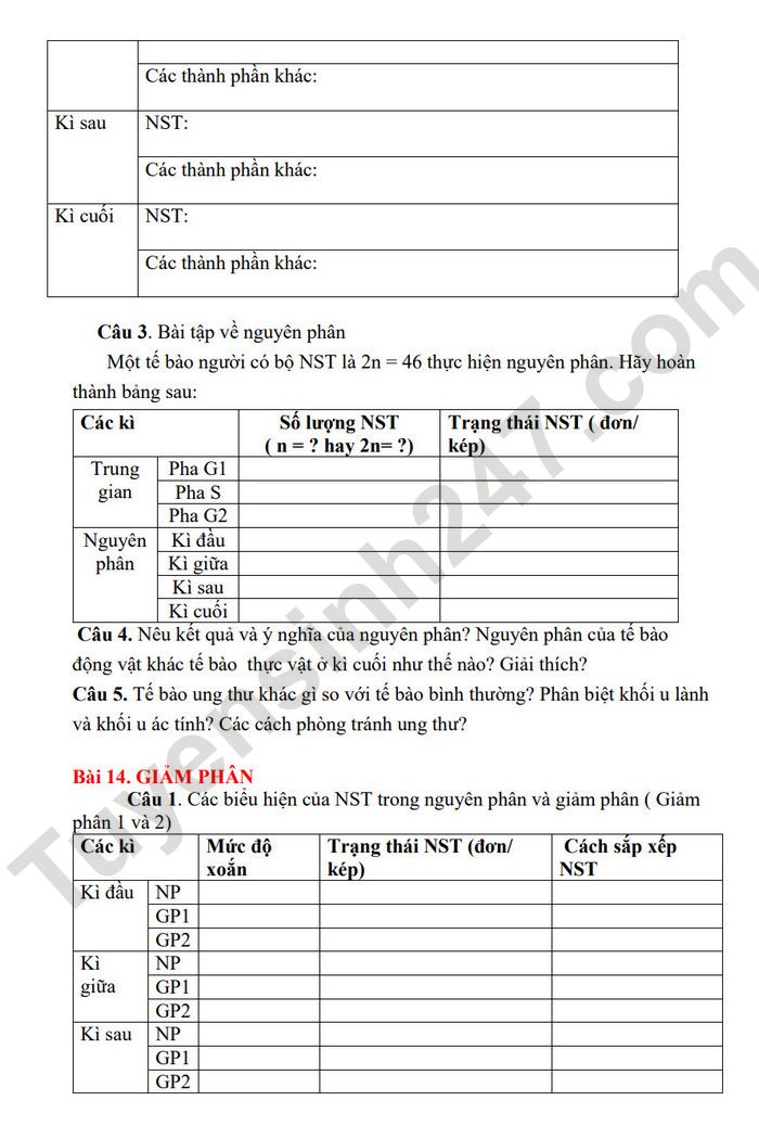 De cuong on tap giua ki 2 mon Sinh lop 10 nam 2023 THPT Viet Duc