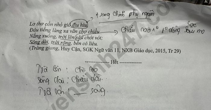 De thi giua ki 2 lop 11 mon Van nam 2023 - THPT Binh Luc