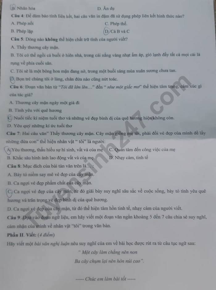 De thi hoc ki 2 lop 7 mon Van nam 2023 - THCS Thang Long