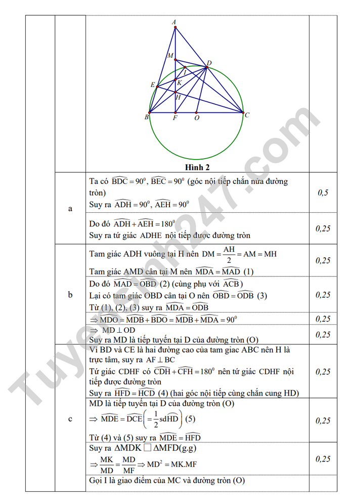 De thi hoc ki 2 mon Toan lop 9 - Huyen Cam Giang 2023 (Co dap an)