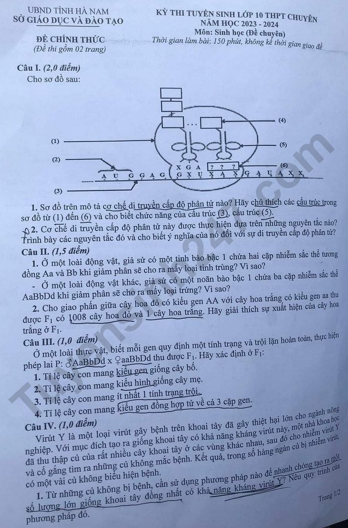 De thi vao lop 10 mon Sinh chuyen 2023 THPT Chuyen Bien Hoa