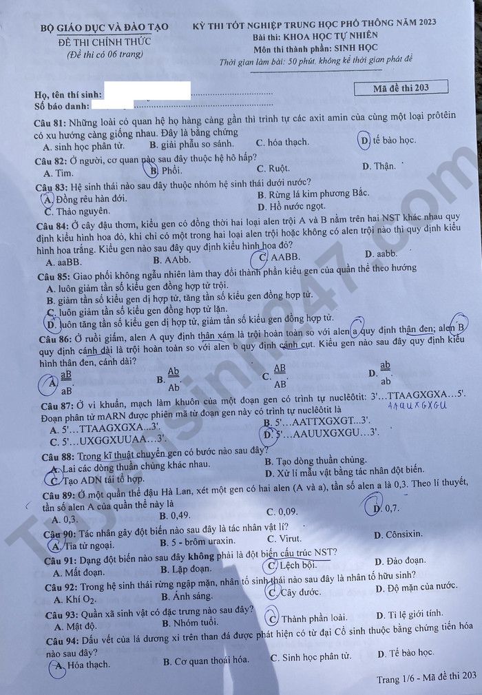 Dap an de thi tot nghiep THPT mon Sinh - Ma de 203 nam 2023