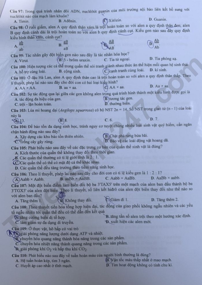 Dap an de thi tot nghiep THPT mon Sinh - Ma de 214 nam 2023