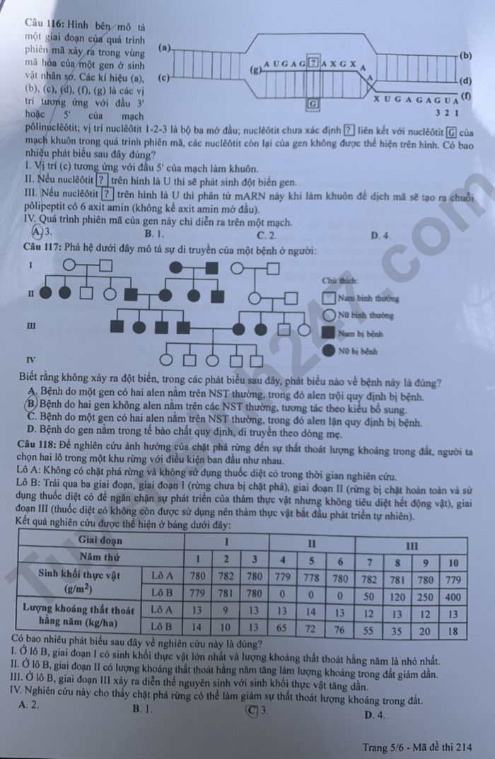 Dap an de thi tot nghiep THPT mon Sinh - Ma de 214 nam 2023