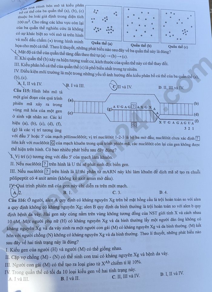 Dap an de thi tot nghiep THPT mon Sinh - Ma de 215 nam 2023