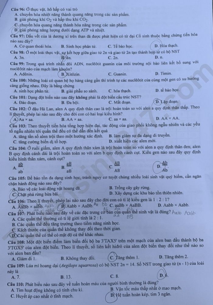 Dap an de thi tot nghiep THPT mon Sinh - Ma de 216 nam 2023