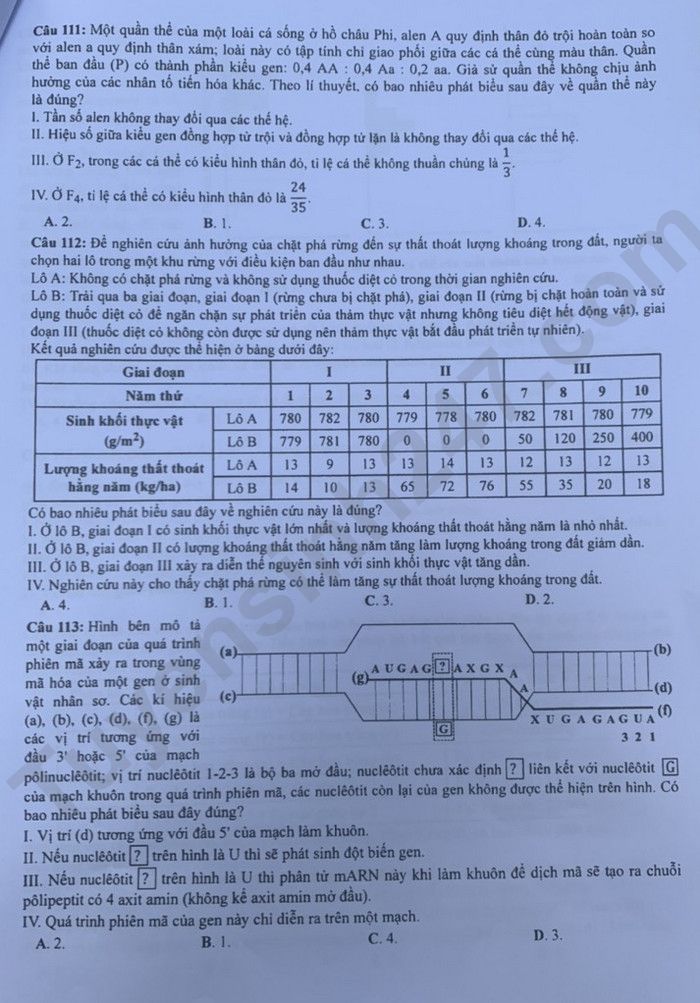 Dap an de thi tot nghiep THPT mon Sinh - Ma de 216 nam 2023